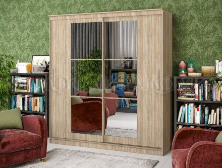 Шкаф-купе 1,5 Элегант 3 