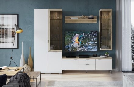 Шкаф-тумба 2 двери и 2 витрины ШК-3026 Анима 