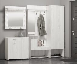 Шкаф-купе с зеркалом Ольга Милк 10