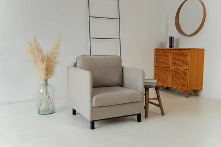 Кресло-кровать 5556 