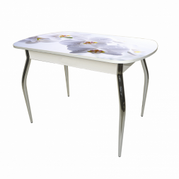 Стол обеденный Прага опора D40