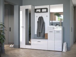 Шкаф для одежды 600 Gloss (Глосс)