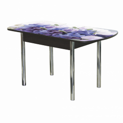 Стол обеденный Прага 5 раздвижной опора D50