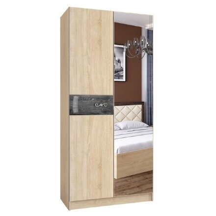 Шкаф 2-х створчатый Мадлен (дуб сонома/дуб шале серебро)   