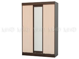 Шкаф-купе Бася  