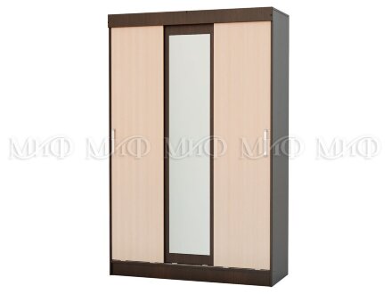 Шкаф-купе Бася   
