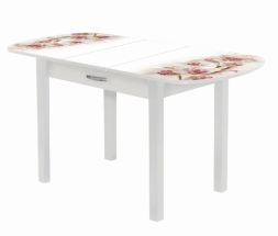 Стол обеденный Прага-1 раздвижной с ящиком опора массив МТ9