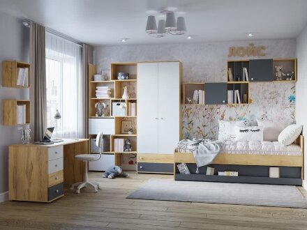 Шкаф для одежды и белья Лойс  