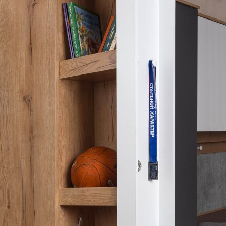 Шкаф МЦН 85 Лойс 