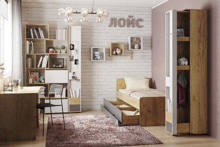 Шкаф МЦН 85 Лойс 