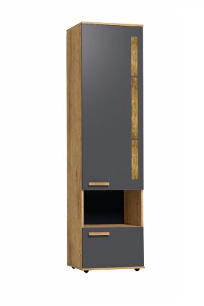 Шкаф МЦН 1 Crown 