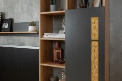 Шкаф МЦН 2 Crown