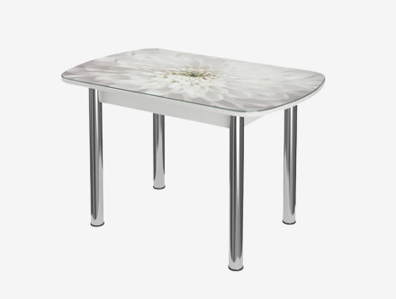 Стол обеденный Бостон Флоренс (брифинг) 