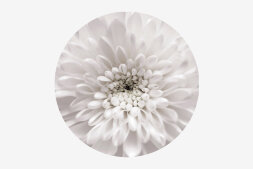 Стол круглый раздвижной Бостон Флоренс (брифинг)