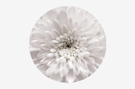 Стол круглый раздвижной Бостон Флоренс (брифинг) 