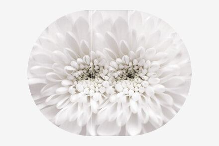 Стол круглый раздвижной Бостон Флоренс (брифинг) 