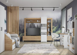 Гостиная Сканди