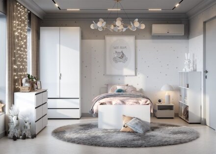 Шкаф двухстворчатый с двумя ящиками Токио 