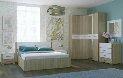 Шкаф 2-х створчатый Бьянка, Сонома / Белый глянец