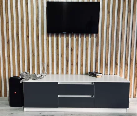 Тумба ТВ большая Парус, белый/Графит 